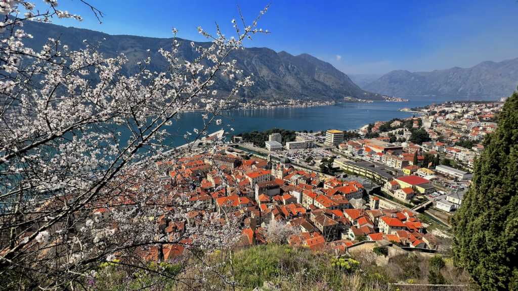 Kotor in Spring