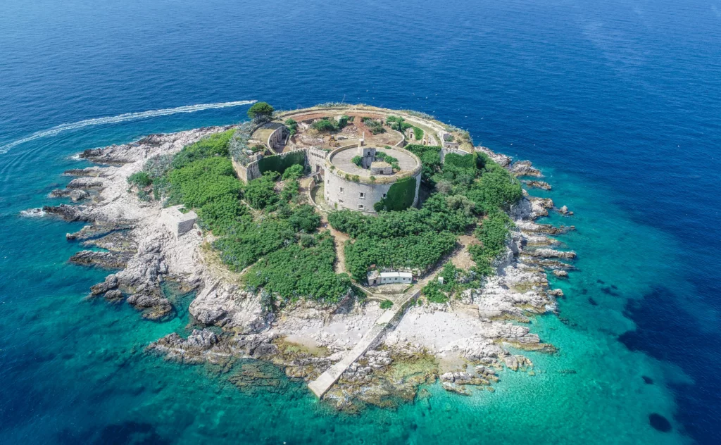 Sales & Marketing Lustica Bay